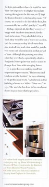 Home Remodeling - Early Summer 2011 - Article featuring Shaw Woodworking cabinets